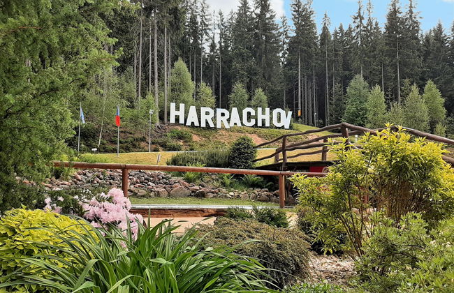 Helena Harrachov - Foto 29