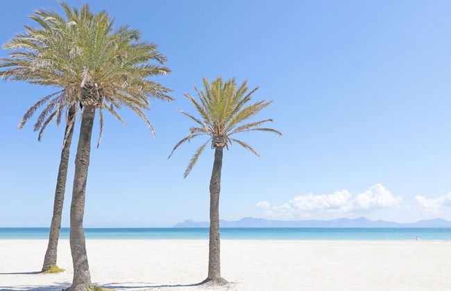 Bonavida Apartments - Foto 1