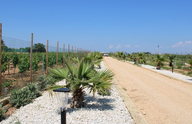 Smiles & Sunsets - Marino's Resort - Foto 61