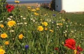 Ocean Drive BOUTIQUE Apartment Adults only Dog friendly - Foto 17