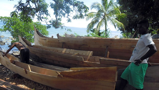 Excursión a Nosy Komba y Tanikely - Foto 4