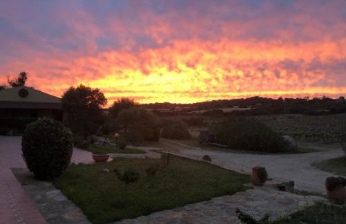 Agriturismo Campesi casale tra le vigne - Photo 32