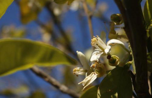 Villa Canale - Foto 25