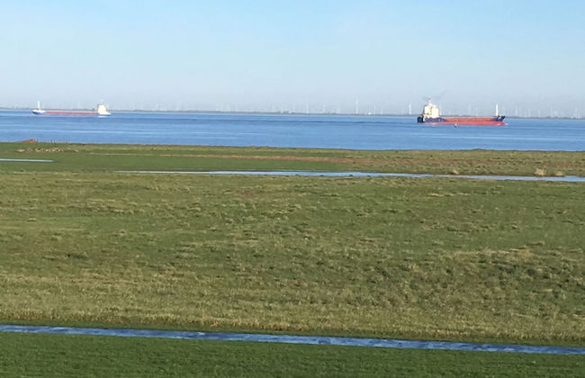 Deichschätzchen - Foto 1