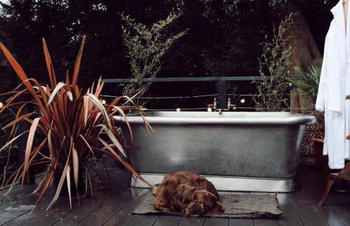 The Rapids Cottage-Secret woodland cottage with outdoor 4 person jetted bath - Foto 18