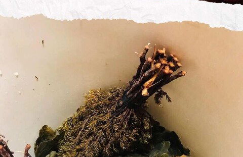 Bear Corner Lodge - Photo 21