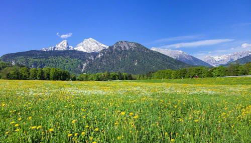 Ferienwohnung Triembachhof - Foto 4