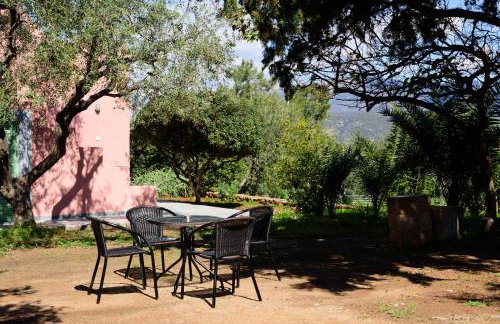 Eleni's House - Photo 9