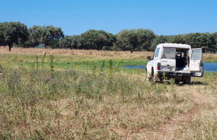 Herdade Joana Dias by PortusAlacer - Foto 16