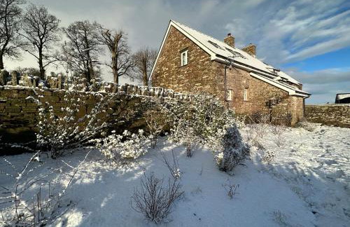 Pant Llwyd Farm - Foto 37