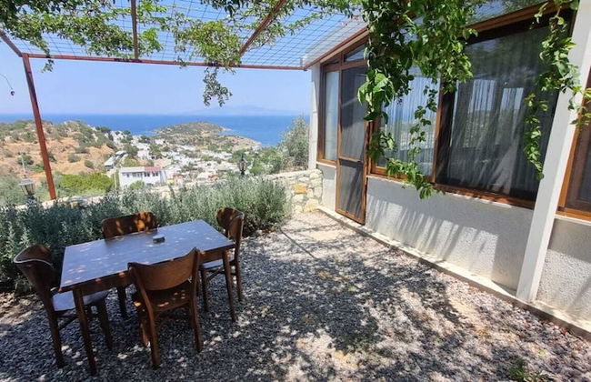 Sole Foca ( Ages 12+ ) - Foto 44