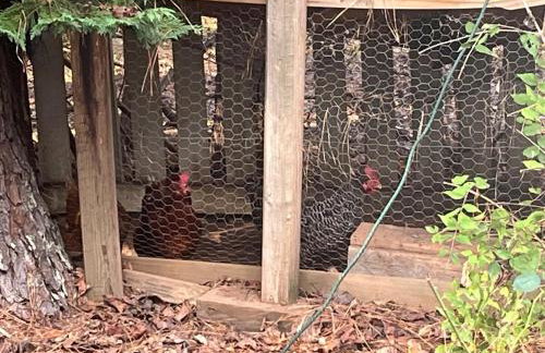 Luxurious Lower Level - Foto 39