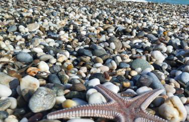 ILIOPOULOS Apartments - Foto 69