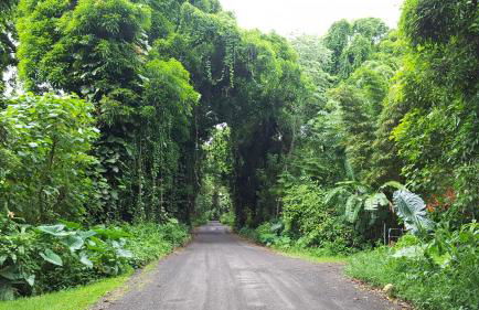 Hale Hamakua 3 Bedroom Home by RedAwning - Foto 22