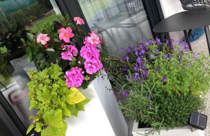 Strandstraße H3W2-EG Kölpinsee - Foto 29