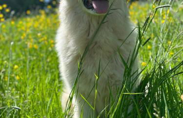 Ferienwohnung “Mount Meißner” - Foto 15