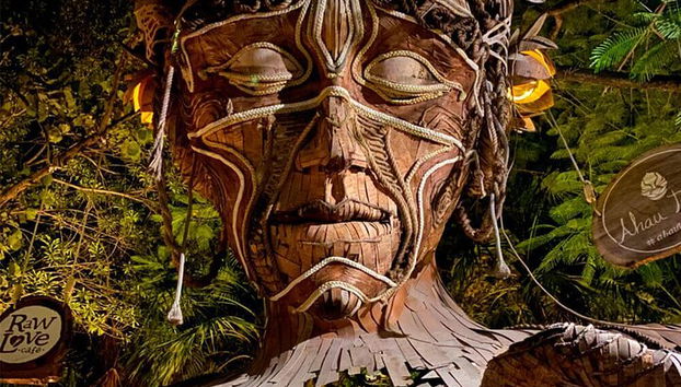 Magisches Abenteuer nach Tulum, einer riesigen Skulptur und Cenoten. Mittagessen inbegriffen - Foto 4, Entdecken Sie Tulum, dos ojos, "Madre naturaleza" und Grand Cenote