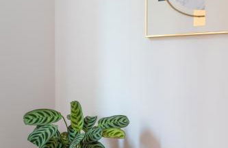 Soler Apartments - Photo 56