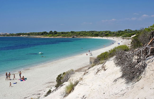 Aparthotel Isla de Cabrera - Photo 51