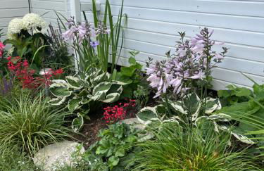 Ferienwohnung Schwarzwald Lodge - Foto 17