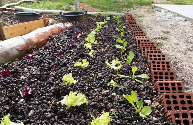 Cute Yellow Handmade House With Garden - Foto 59