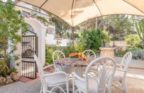 Finca el Cactus - Foto 3