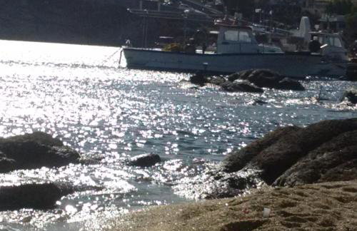 Chaniotis Studios - Foto 53