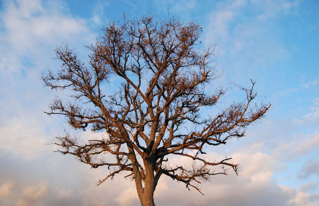 Agriturismo Walden - Photo 19