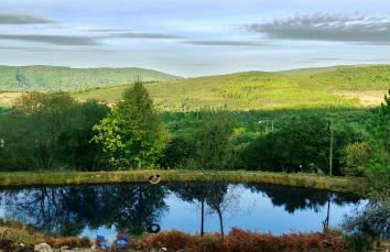 Quinta do Barrieiro - Art Selection by Maria Leal da Costa - Foto 33