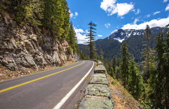 Cottonwood Chalet in Packwood - Foto 48