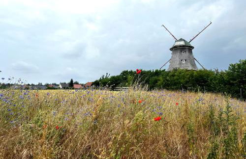 Apartment Klabautermann - Foto 23