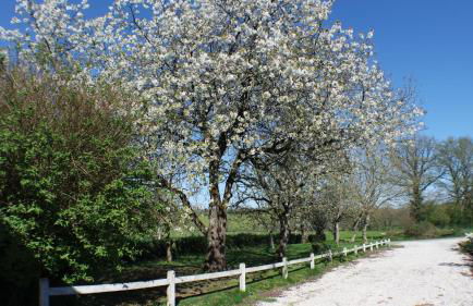 Gites De La Brunière - Photo 33