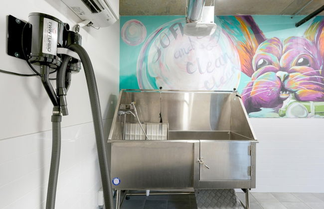 S1bf Rare Find - Bright and Modern 1-br w Free Parking - Foto 34