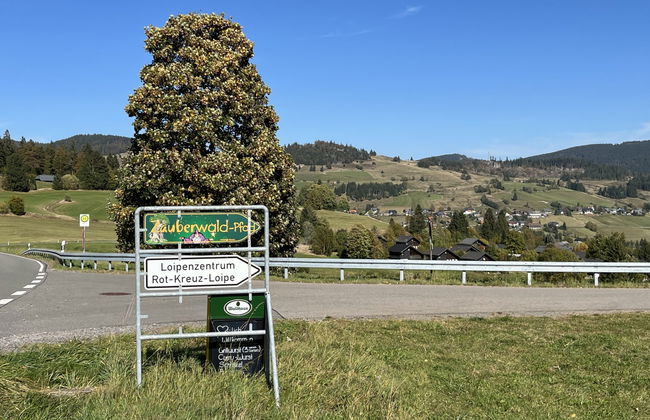 Rechbergblick (BEU302) - Foto 52