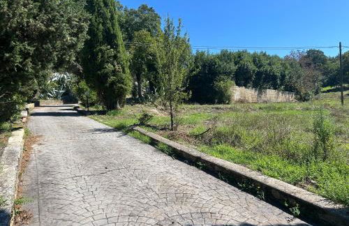 Country House Rocchette - Foto 56