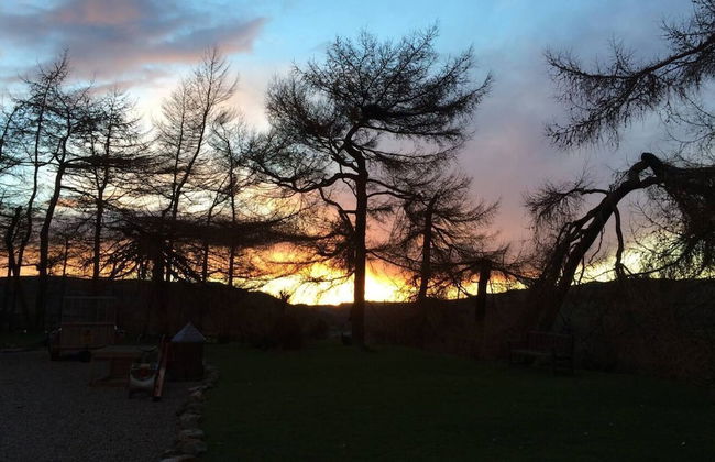 Y Twlc Mochyn - Ecofriendly - Farm Animals - Foto 13