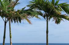 vivienda vacacional Atlantida - Foto 28