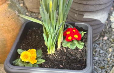 Chloes Retreat - Photo 18