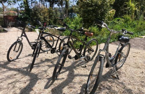 ribeira dos marinheiros vermelho - Foto 41