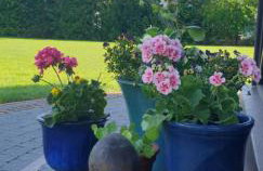 Zielona Mila Dom Wakacyjny - Foto 9