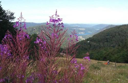 RELAX CHALET Nature Retreat - isolé sur 3 hectares - confort de LUXE - maison entière 150m2 - près de La Bresse - Foto 57