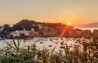 La Piccola Mimosa - Foto 18