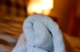 Gites dans les Champs - Foto 27