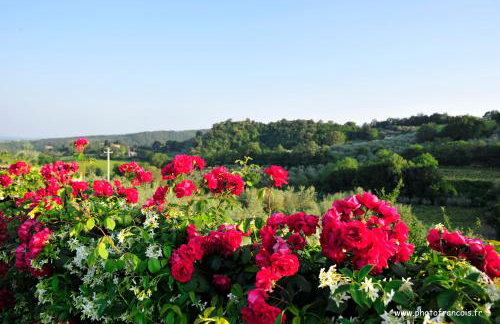 Agriturismo Il Sasso - Foto 23