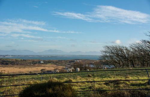 Cabbage Patch - Foto 3