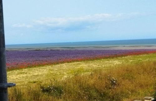 Harmonie Côtière - Belle Maison neuve bord de mer et plages du Débarquement - Photo 61