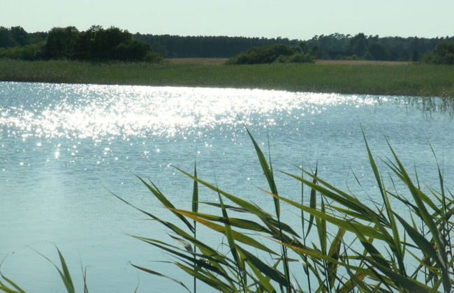 The Fischerhaus on Lake Malkwitzer See - Foto 15