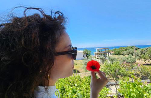 Studio Popi - Foto 2