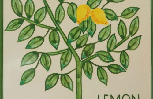 Casa Monte Cristo Apartments - Lemon - Foto 1