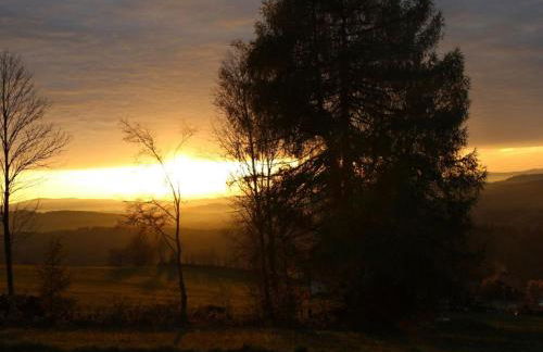 Schreinerhäusl - Foto 18